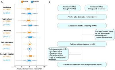 MCM3AP-AS1: An Indispensable Cancer-Related LncRNA